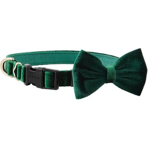 Frisco Velvet Dog Collar With Removeable Velvet Bow, Green, XS - Neck: 8 - 12-in, Width: 5/8-in