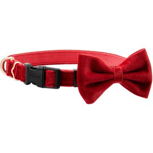 Frisco Velvet Dog Collar With Removeable Velvet Bow, Red, SM - Neck: 10-14-in, Width: 5/8-in