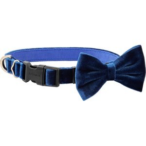 Frisco Velvet Dog Collar With Removeable Velvet Bow, Blue, MD - Neck: 14 - 20-in, Width: 3/4-in