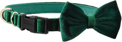 Frisco Velvet Dog Collar With Removeable Velvet Bow, slide 1 of 1