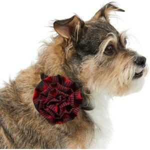 Frisco Removeable Collar Flower, Buffalo Check, MD/LG