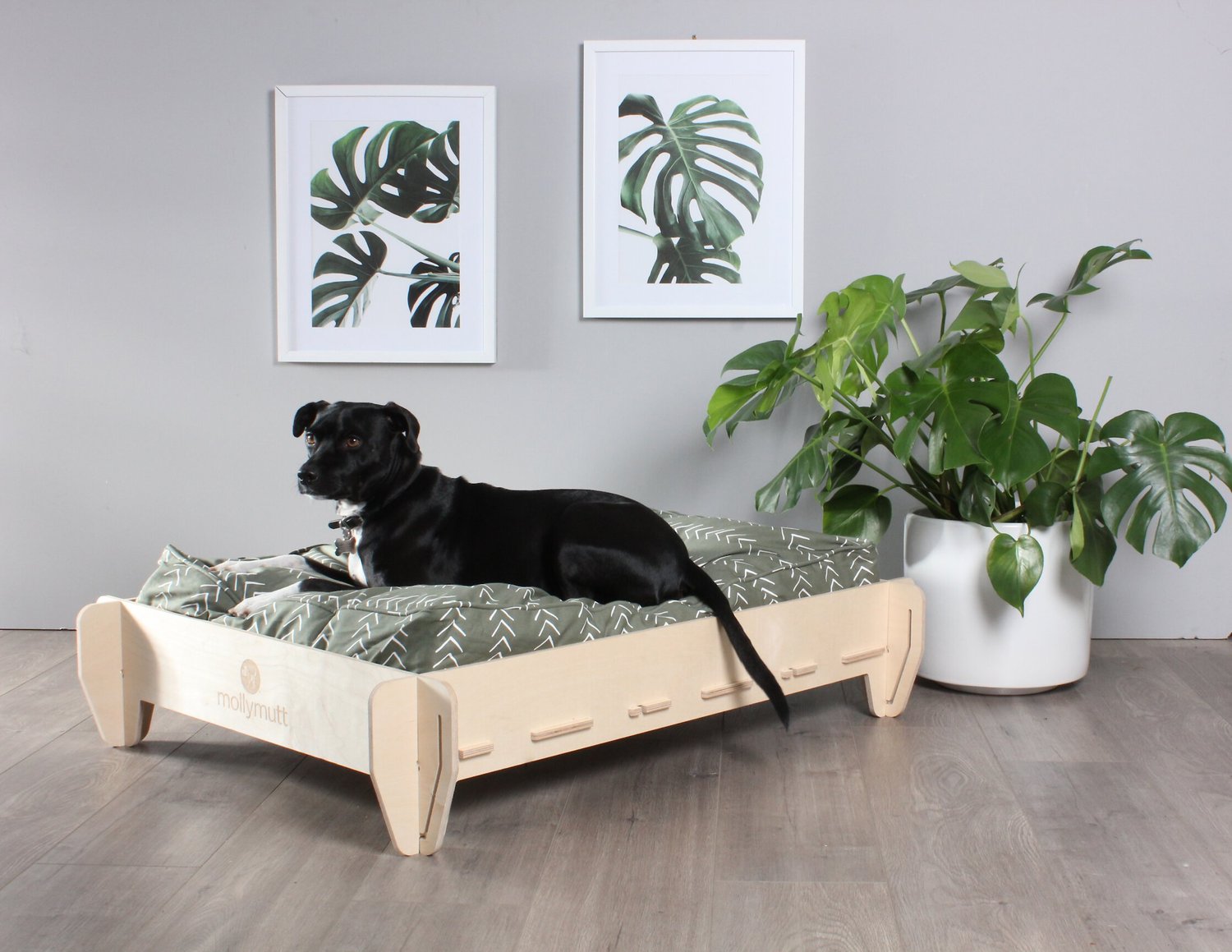 Molly Mutt Lift Elevated Dog Bed Frame, Dog Bed Bed Frame