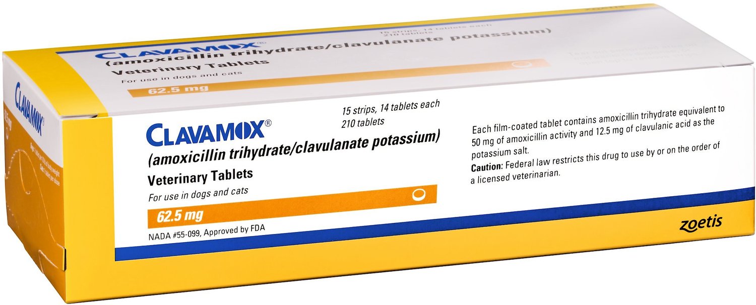 Clavamox Amoxicillin Clavulanate Potassium Chewable Tablets For Dogs Cats 62 5 Mg 30 Tablets Chewy Com