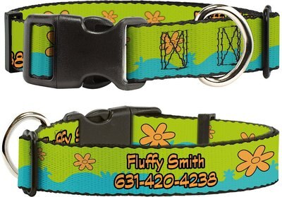 Buckle-Down Scooby Doo The Mystery Machine Paint Job Personalized Dog Collar, slide 1 of 1