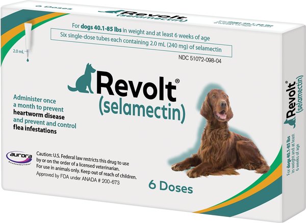 Revolt Topical Solution for Dogs, 40.1-85 lbs, (Teal Box), 6 Doses (6-mos. supply) slide 1 of 2