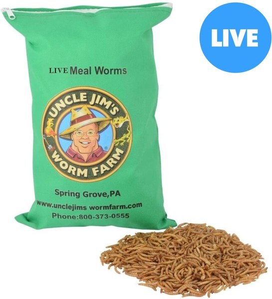 Uncle Jim's Worm Farm Live Mealworms Reptile & Fish Food, 500 count slide 1 of 6
