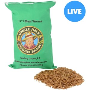 Uncle Jim's Worm Farm Live Mealworms Reptile & Fish Food, 1000 count