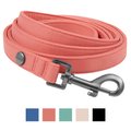 Frisco Monochromatic Dog Leash, Faded Rose, SM - Length: 6-ft, Width: 5/8-in