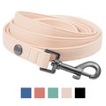 Frisco Monochromatic Dog Leash, Soft Beige, LG - Length: 6-ft, Width: 1-in
