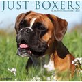 Just Boxers 2022 Wall Calendar
