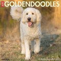 Just Goldendoodles 2022 Wall Calendar