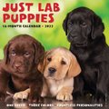 Just Lab Puppies 2022 Wall Calendar