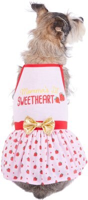 Frisco Momma's Lil Sweetheart Dog & Cat Dress, slide 1 of 1
