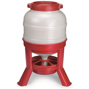Little Giant Dome Poultry Feeder, 45-lb