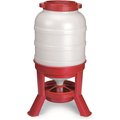 Little Giant Dome Poultry Feeder, 60-lb