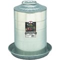 Little Giant Double Wall Metal Poultry Fount, 3-gal