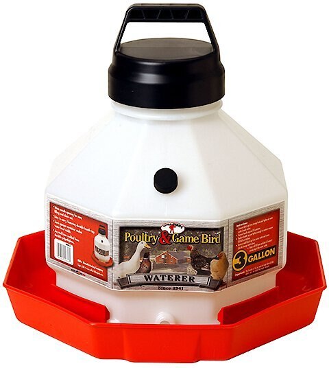 Little Giant Plastic Poultry Fount, 3-gal slide 1 of 1