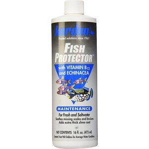 Kordon Fish Protector Aquarium Water Conditioner, 16-oz bottle