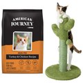 American Journey Turkey & Chicken Recipe Grain-Free Dry Food + Frisco Cactus Cat Scratching Post, 22-in