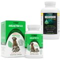 Nutramax Welactin Canine Omega-3 Softgel Capsules + Dasuquin with MSM Joint Health Chewable Tablets Large Dog Supplement