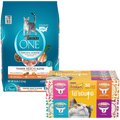 Purina ONE Tender Selects Blend with Real Chicken Dry Food, 16-lb bag + Friskies Lil' Soups Broths Lickable Cat Treats
