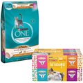 Purina ONE Tender Selects Blend with Real Chicken Dry Food, 22-lb bag + Friskies Lil' Soups Broths Lickable Cat Treats