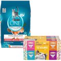 Purina ONE Tender Selects Blend with Real Salmon Dry Food + Friskies Lil' Soups Broths Lickable Cat Treats