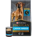 Purina Pro Plan Adult Large Breed Chicken & Rice Formula Dry Food, 47-lb bag + Focus Chicken & Rice Entree Chunks in Gravy Canned Dog Food