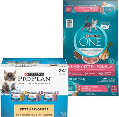 Purina Pro Plan FOCUS Kitten Favorites Wet Food + Purina ONE Healthy Kitten Formula Dry Cat Food, slide 1 of 1