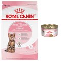 Royal Canin Feline Health Nutrition Dry Food + Feline Health Nutrition Thin Slices in Gravy Wet Kitten Food