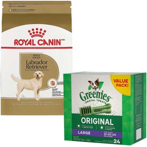 Royal Canin Labrador Retriever Adult Dry Food + Greenies Large Dental Dog Treats