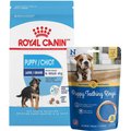Royal Canin Large Puppy Dry Food + N-Bone Puppy Teething Ring Chicken Flavor Dog Treats