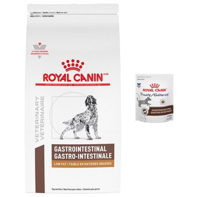 Royal Canin Veterinary Diet Gastrointestinal Low Fat Dry Dog Food + Treats, slide 1 of 1
