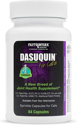 Nutramax Dasuquin Capsules Joint Supplement for Cats, slide 1 of 1