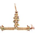 Planet Pleasures Foraging Perch Bird Toy, Small