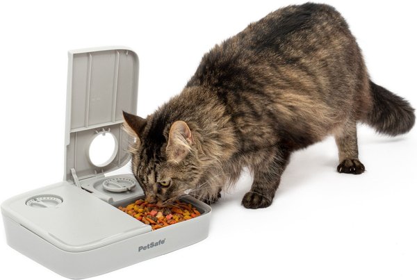 PetSafe Automatic Two-Meal Dog & Cat Feeder, Grey slide 1 of 7