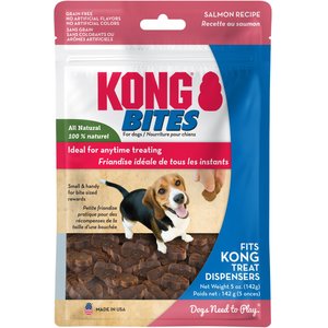 KONG Bites Grain-Free Salmon Dog Treats, 5-oz bag