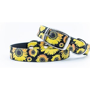 C4 Sunflowers Waterproof Hypoallergenic Dog Collar, Medium