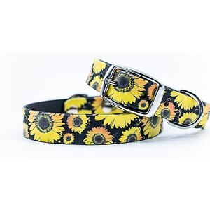 C4 Sunflowers Waterproof Hypoallergenic Dog Collar, X-Large