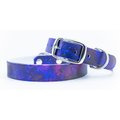 C4 Nebula Waterproof Hypoallergenic Dog Collar, Small