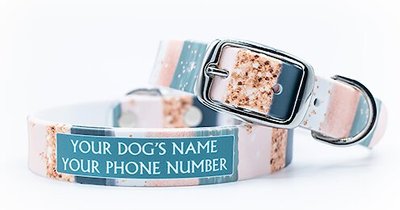 C4 Blush Stripes Waterproof Hypoallergenic Personalized Dog Collar, slide 1 of 1