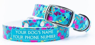 C4 Wildflowers Waterproof Hypoallergenic Personalized Dog Collar, slide 1 of 1