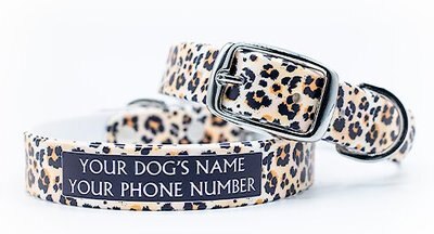 C4 Leopard Print Waterproof Hypoallergenic Personalized Dog Collar, slide 1 of 1