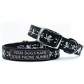 C4 Jolly Roger Waterproof Hypoallergenic Personalized Dog Collar, Large