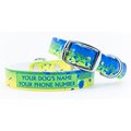 C4 Mahi Waterproof Hypoallergenic Personalized Dog Collar, Medium