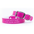 C4 Solid Waterproof Hypoallergenic Personalized Dog Collar, Hot Pink, Large