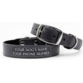 C4 Solid Waterproof Hypoallergenic Personalized Dog Collar, Slate, Large