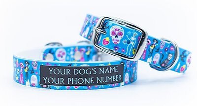 C4 Day of the Dead Waterproof Hypoallergenic Personalized Dog Collar, slide 1 of 1