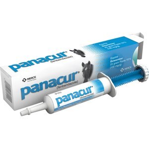Panacur Equine Paste 10% Horse Dewormer, 25g, 4 count