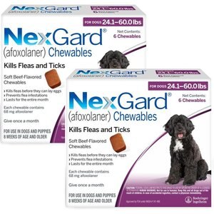 NexGard Chew for Dogs, 24.1-60 lbs, (Purple Box), 6 Chews, bundle of 2 (12-mos. supply)